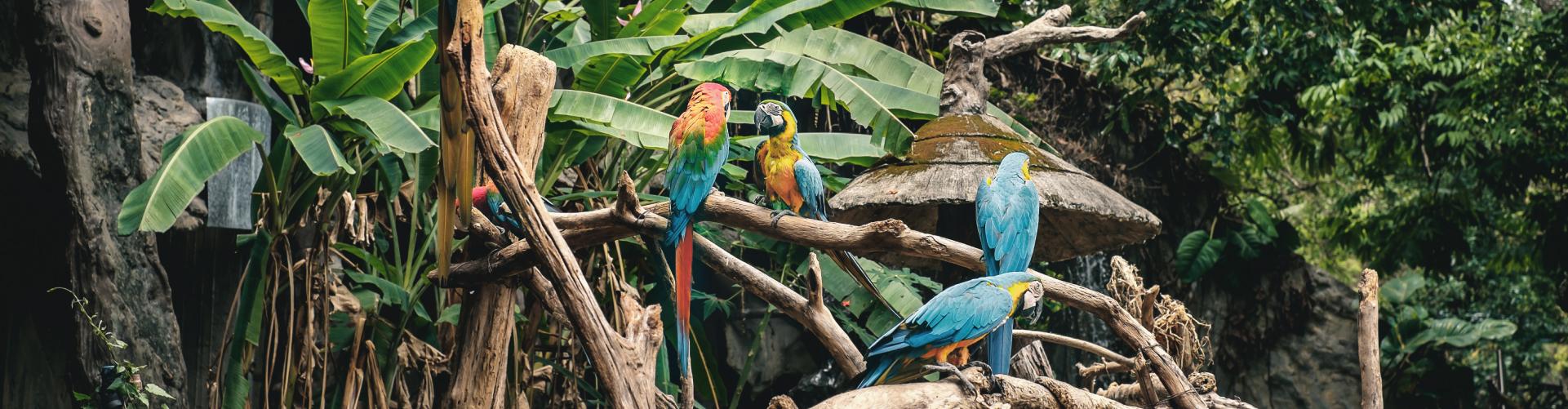 Conectando Comunidades, Promoviendo Sostenibilidad, Impactando positivamente.